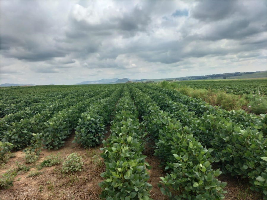 0 Bedroom Property for Sale in Bethlehem Rural Free State